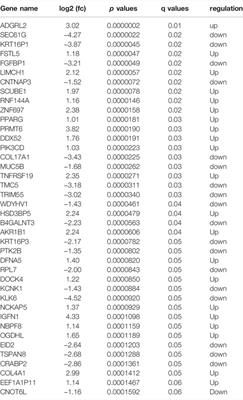 TROY Modulates Cancer Stem-Like Cell Properties and Gefitinib Resistance Through EMT Signaling in Non–Small Cell Lung Cancer